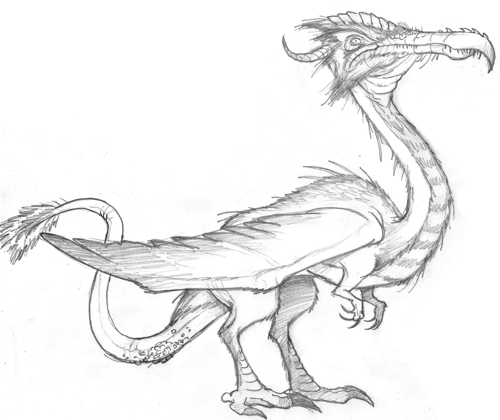 Character Sketch