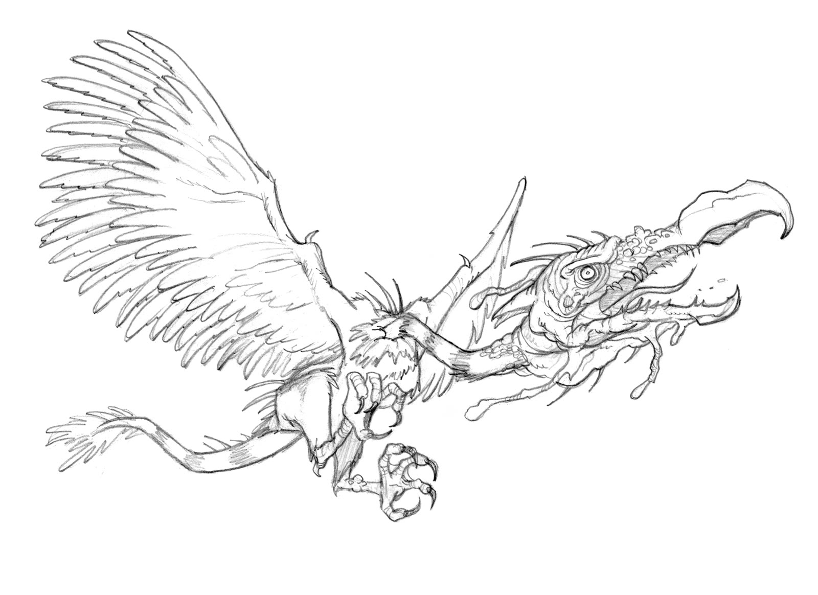 Character Study
